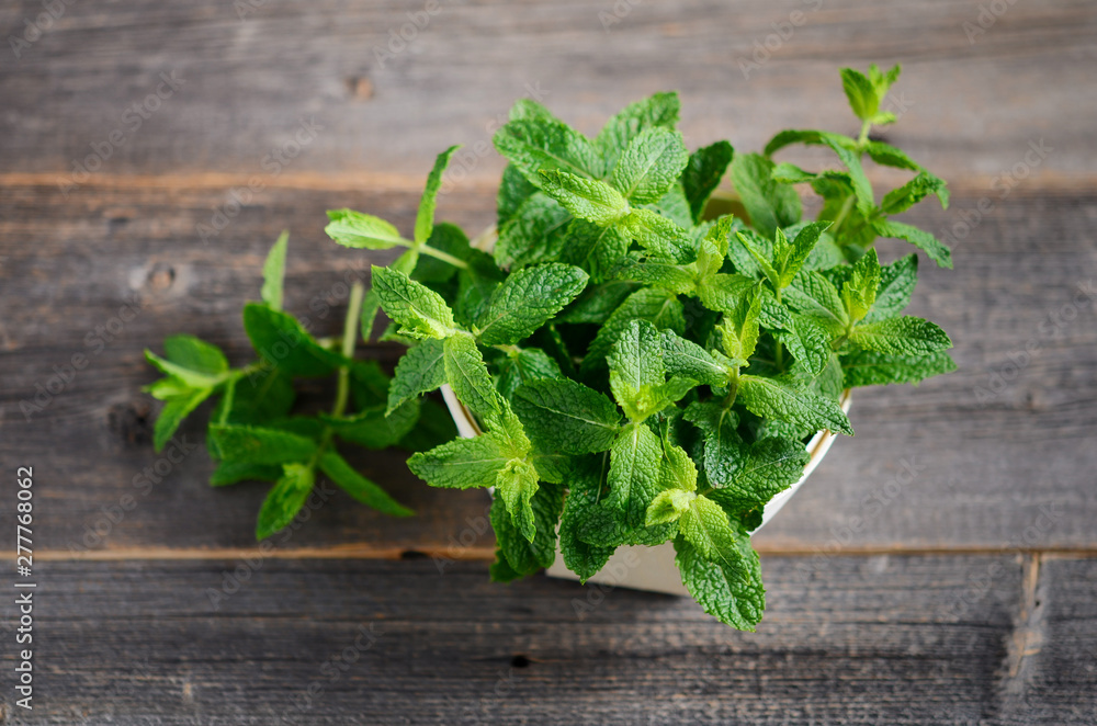 Fresh organic mint bunch in a wooden bowl on the old rustic wooden table. Fresh organic mint bunch in a wooden bowl on the old rustic wooden table.