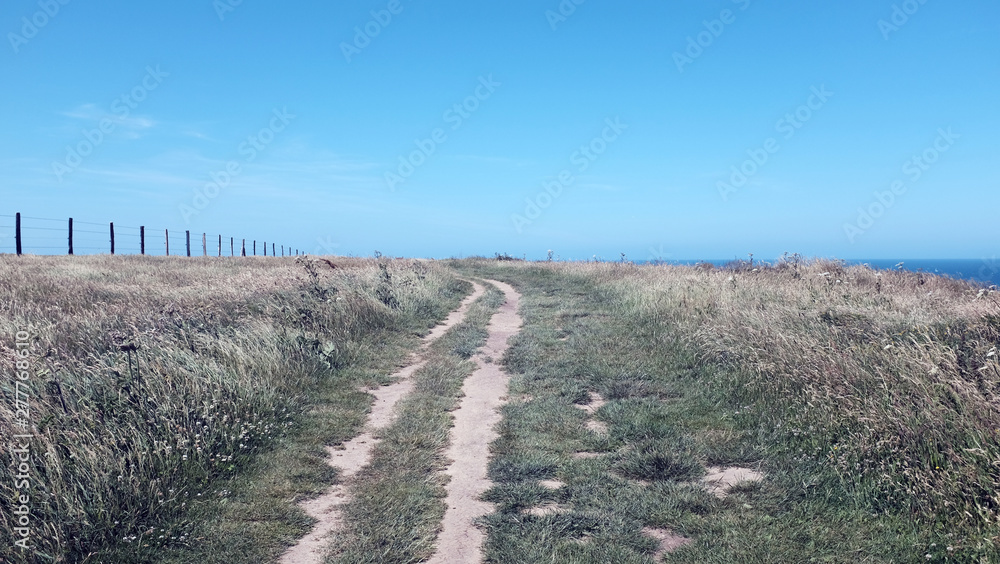Fototapeta premium road in the field