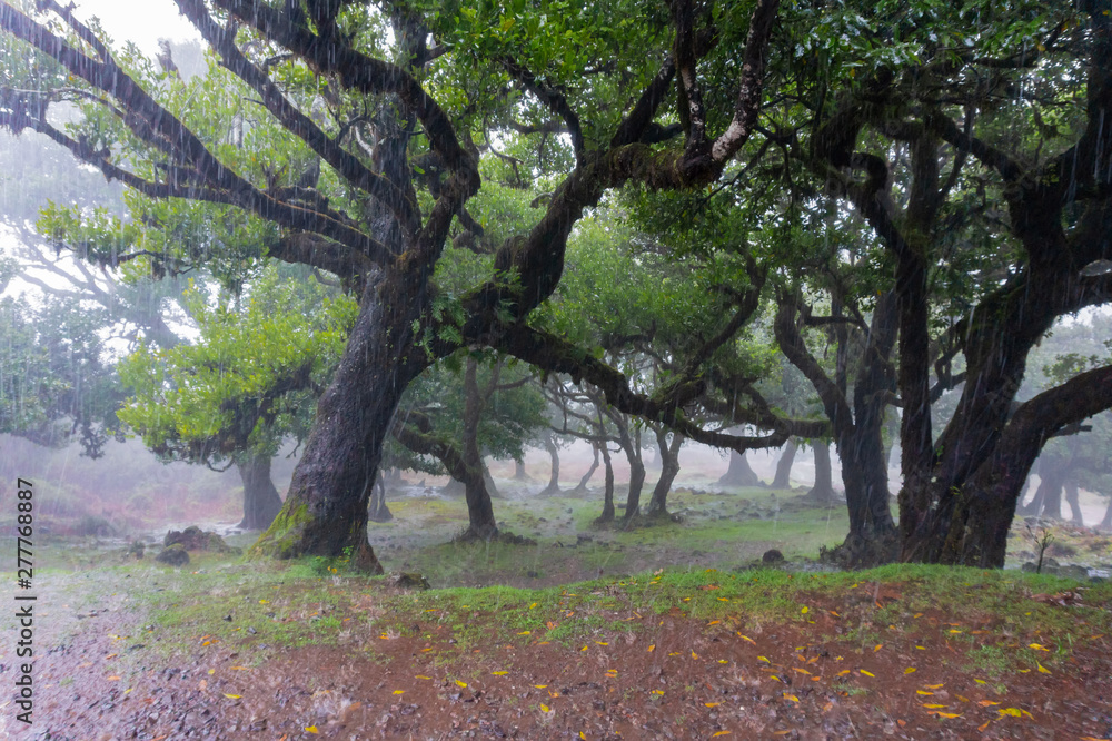 Thunderstorm with heavy hail and sleet showers in summer. Thunderstorm with heavy hail and sleet showers in summer.