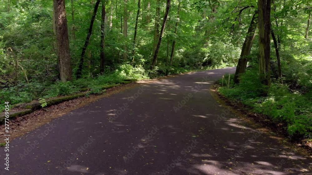 Going down road in forest with sunlight thru trees Going down road in forest with sunlight thru trees