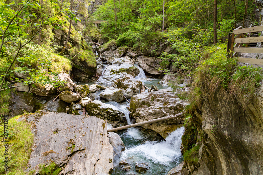 ein Gebirgsbach in einem Wald in Österreich ein Gebirgsbach in einem Wald in Österreich