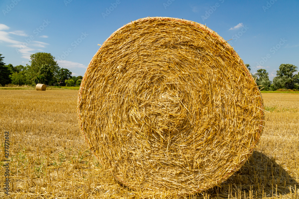 ein großes Feld mit vielen Strohballen, Erntezeit ein großes Feld mit vielen Strohballen, Erntezeit
