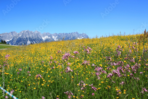 Am wilden Kaiser