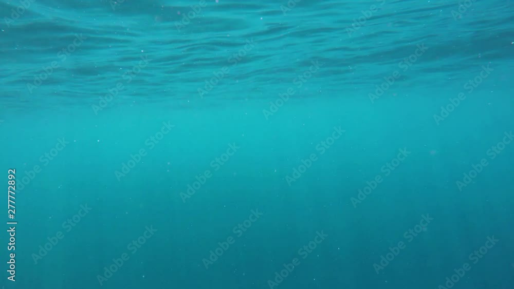 Plankton im Wasser an der Wasseroberfläche und Sonnenstrahlen Plankton im Wasser an der Wasseroberfläche und Sonnenstrahlen