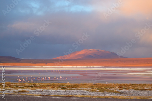 Laguna Colorada or the Red Lagoon on the Bolivian Altiplano with a Large Group of Flamingos, Potosi Department, Bolivia