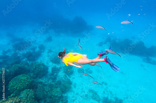 Woman snorkeling around corals in the Caribbean Ocean, in Cozumel Island, Mexico photo