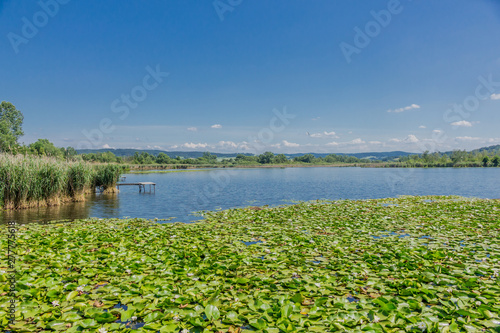 Sommerliche Erkundungstour entlang des wunderschönen Werratales. - Breitungen/Seeblick. photo