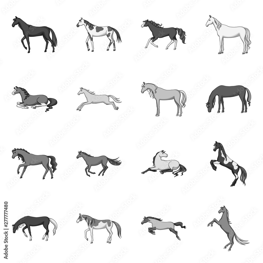 Vector design of riding and mustang sign. Collection of riding and equestrian stock symbol for web.