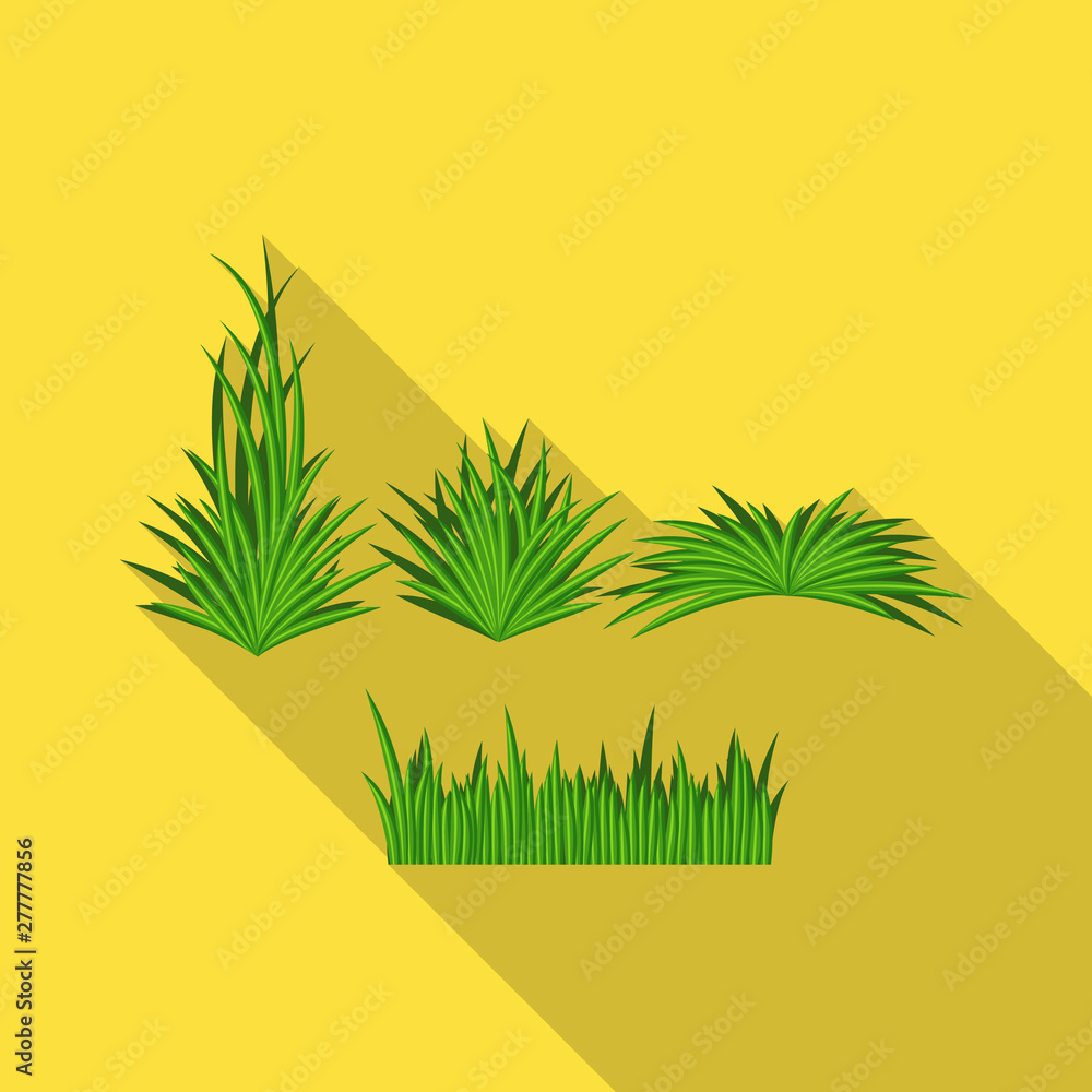 Vector design of grass and bush sign. Collection of grass and garden stock vector illustration. Vector design of grass and bush sign. Collection of grass and garden stock vector illustration.