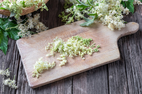 Preparation of tincture from meadowsweet blossoms photo