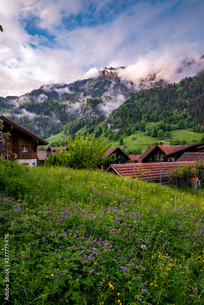 Beautiful Switzerland Nature. Beautiful Switzerland Nature.