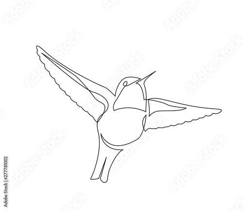 continuous line drawing of beautiful colibri small bird flying