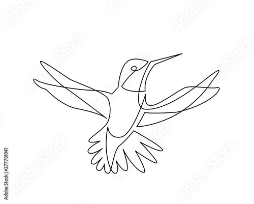 continuous line drawing of colibri birg flying