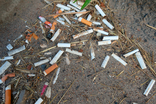 Discarded cigarettes littered on the sand by the road