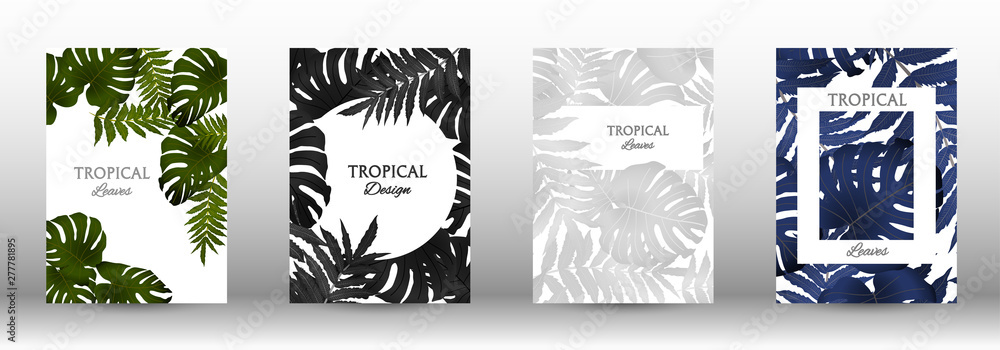 A set of tropic