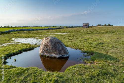 Erratic boulder in a puddle on a meadow on the eastern coast of Öland, Sweden.