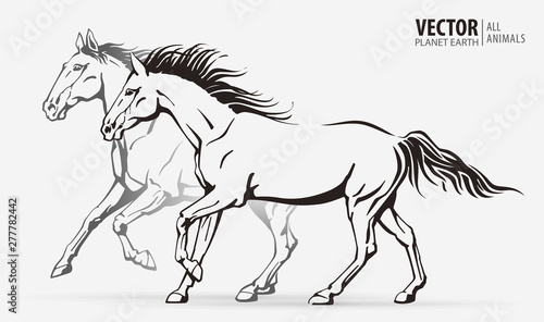 Beautiful arabian horses. Silhouettes of a running horses. Galloping animal. Sport. Vector illustration