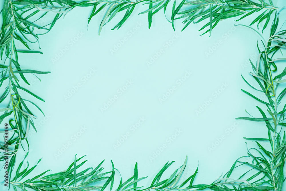 Green frame composed of fresh green seathorn brances and leaves. Background and copy space image symbolizing ecology, nature, spring and freshness