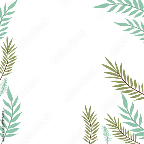 pattern of branch with leaf in white background