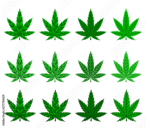 Cannabis leaf marijuana vector colorful illustration ganja 