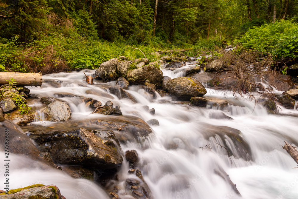 River in Fagaras mountains making his way through beautiful gree forest and rocks.