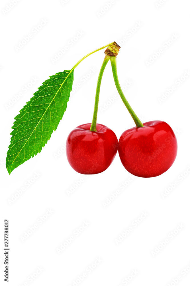Cherry with green leaves isolated on white background Cherry with green leaves isolated on white background