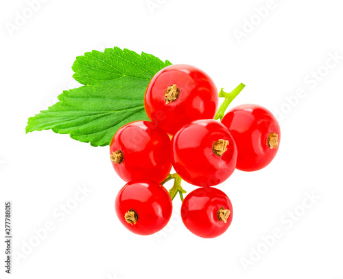 Red currant berries with green leaf isolated on white background