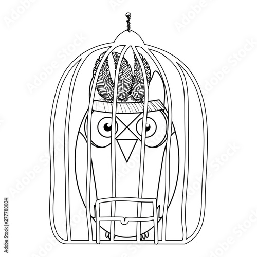 owl bird with feathers hat in cage bohemian style