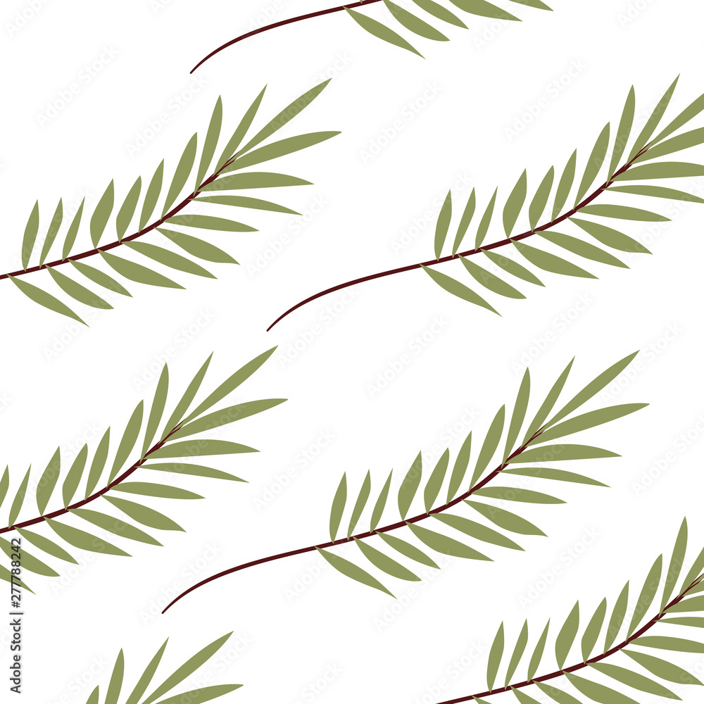 pattern of branch with leaf in white background