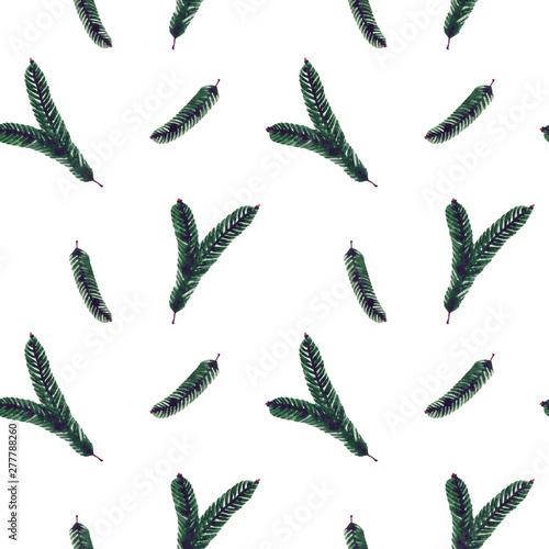 Seamless pattern with green fir branches. Watercolor illustration on white background.