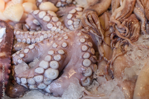 Octopus with ice on the market