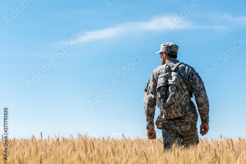 Soldier in military uniform with backpack standing in field with golden wheat