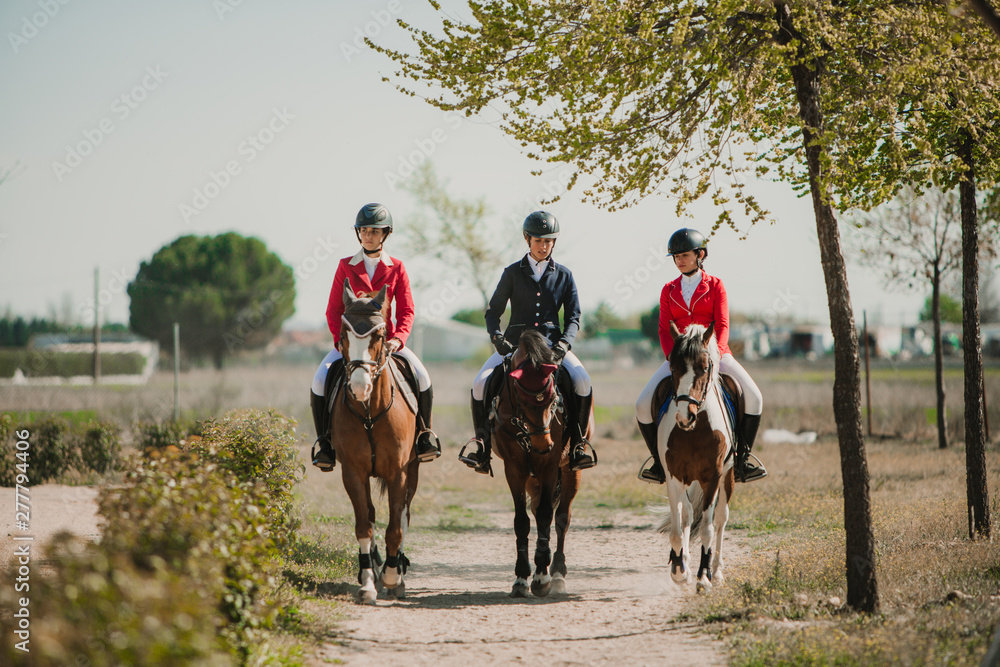 Row of teen women riding horses in row strolling down roadway in sunlight Row of teen women riding horses in row strolling down roadway in sunlight