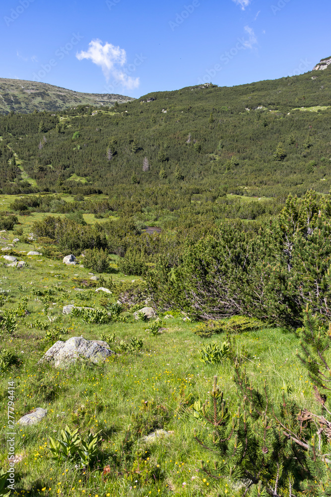 Landscape near The Fish Lakes, Rila mountain, Bulgaria Landscape near The Fish Lakes, Rila mountain, Bulgaria