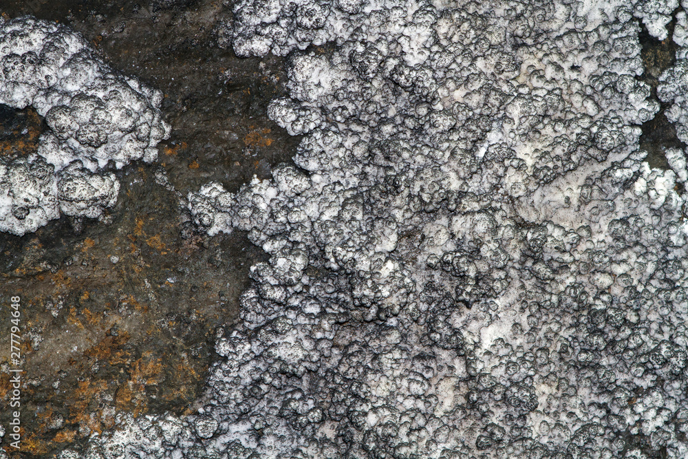 Fototapeta premium raw salt mine closer