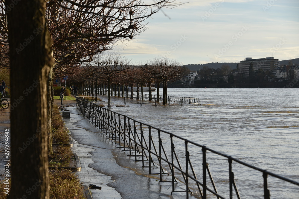 Obraz premium Bonn Rhein high water
