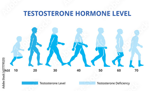 science, male, age, loss, human, level, medicine, balance, decline, strength, low, sexual, biological, hormone, health, testosterone, scientific, element, man, steroid, diagram, sex, illustration, bod