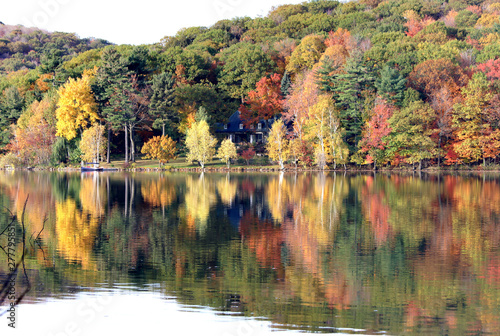 Beautiful maple forest beside lake, Saint-Bruno, Quebec