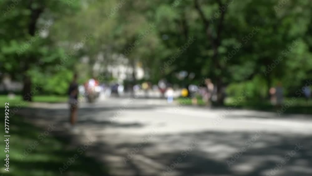 Central Park defocused, blurred New York City background for interviews and similar green screen videos Central Park defocused, blurred New York City background for interviews and similar green screen videos