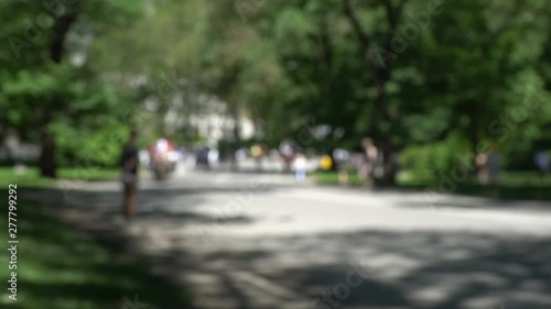 Wallpaper Mural Central Park defocused, blurred New York City background for interviews and similar green screen videos Torontodigital.ca