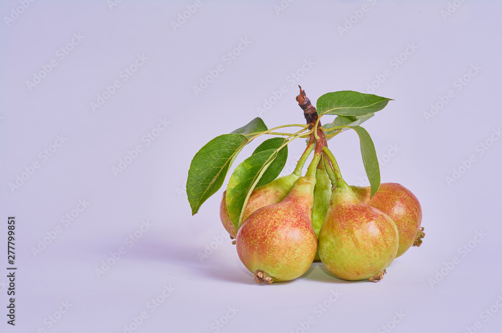 pears isolated on white background pears isolated on white background