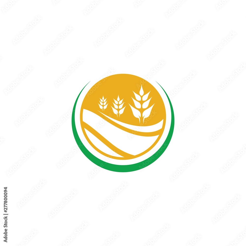 Agriculture wheat logo template vector icon Agriculture wheat logo template vector icon