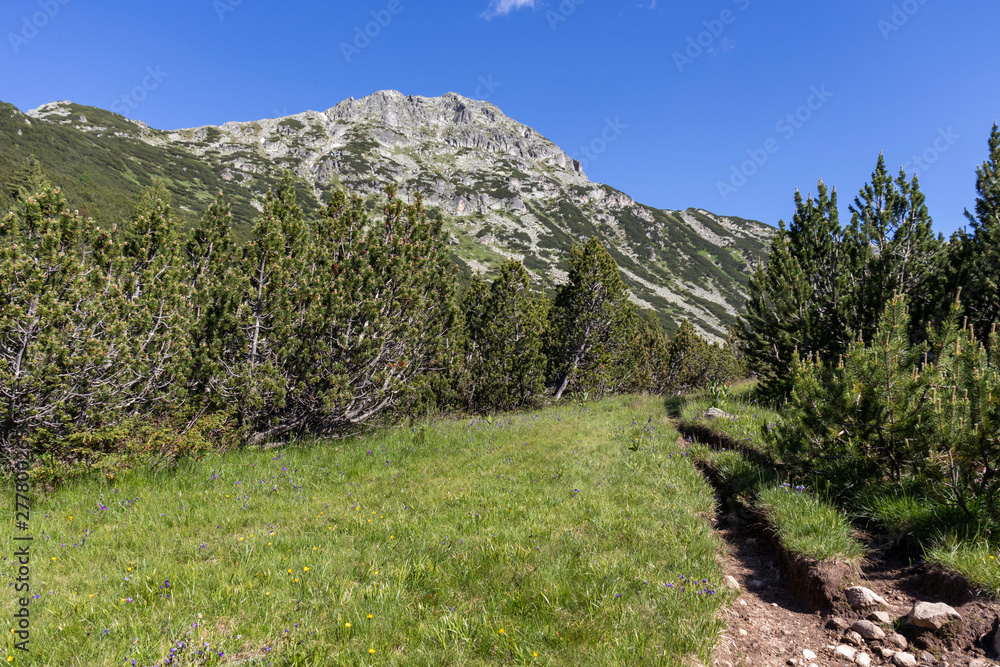 Landscape near The Fish Lakes, Rila mountain, Bulgaria Landscape near The Fish Lakes, Rila mountain, Bulgaria