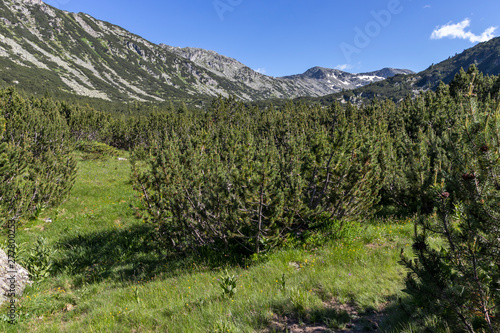 Landscape near The Fish Lakes  Rila mountain  Bulgaria