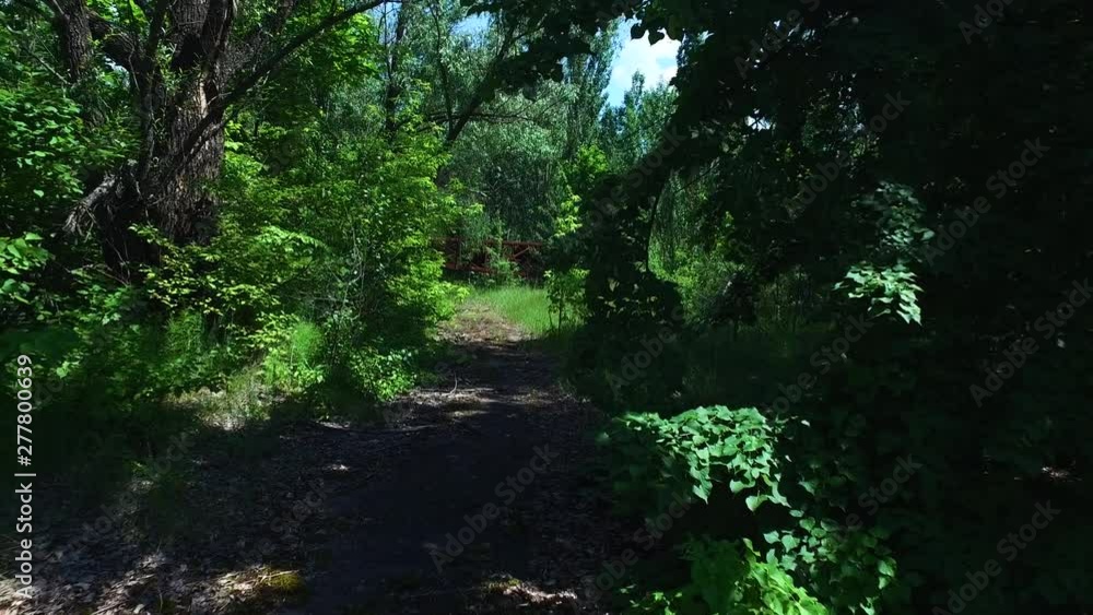 Chernobyl overgrown deserted pathway, pull back through lush neglected foliage. Chernobyl overgrown deserted pathway, pull back through lush neglected foliage.