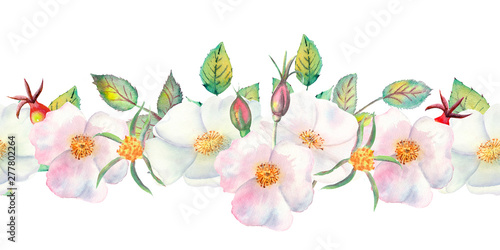 The flowers and leaves of wild rose. Repetition of summer horizontal border. Floral watercolor illustration. Compositions for greeting cards or invitations © Natika_art