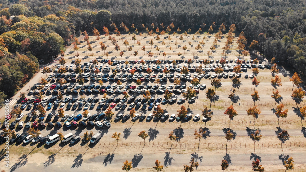 Aerial view of a parking space in the middle of a forest with cars parked and sunlight creating shadows of the symmetrically placed trees in autumn colours
