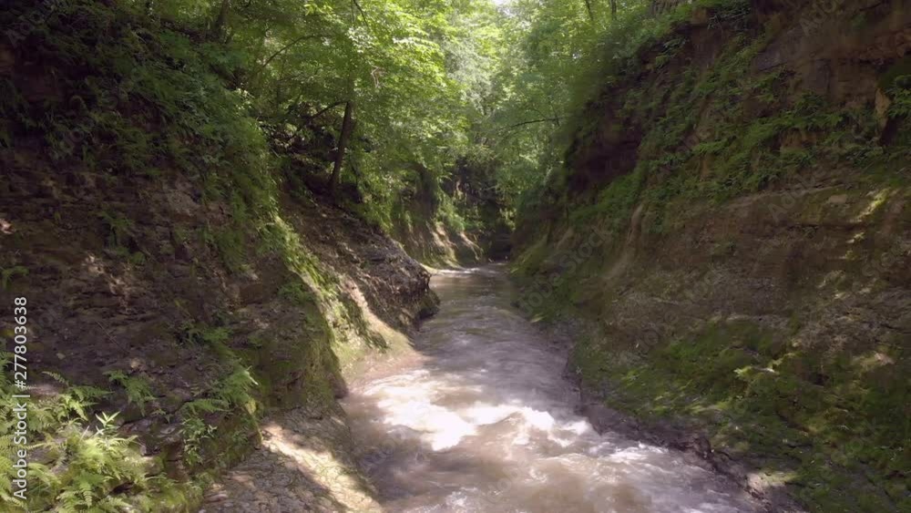 Stream rushing through gorge in spring weather Stream rushing through gorge in spring weather