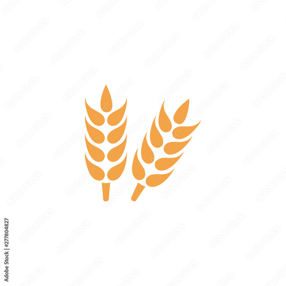 Wheat grain close up