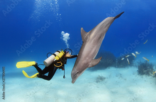 Female diver plays with a friendly dolphin